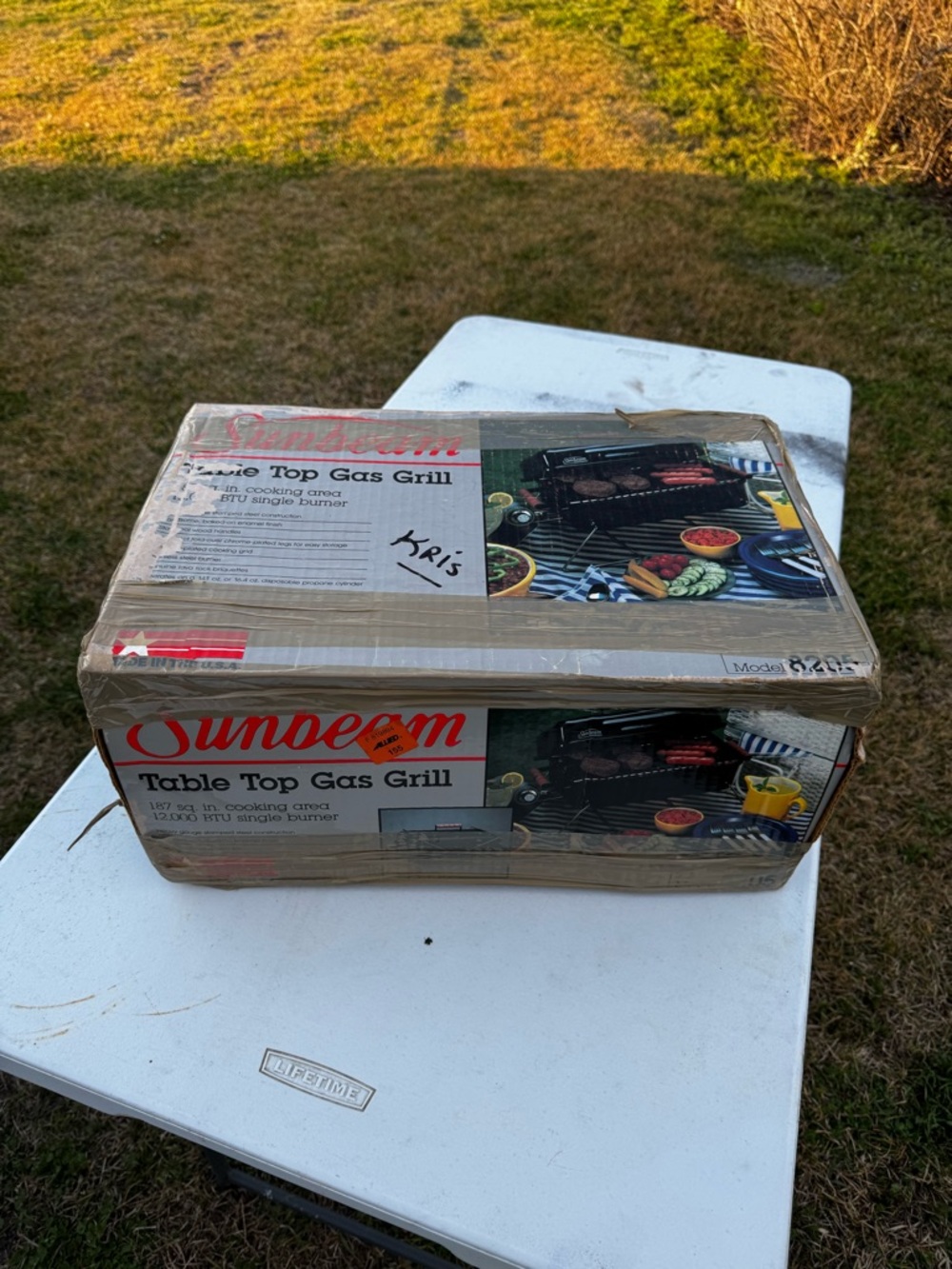 Sunbeam Portable Table Top Gas Grill in Red and Black Accents